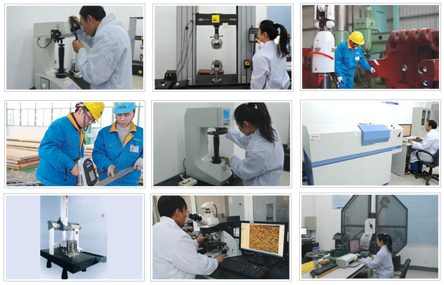 WINFAST STEEL INDUSTRIAL LIMITED έλεγχος ποιότητας 0